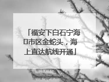 福安下白石宁海⇆市区金蛇头，海上直达航线开通