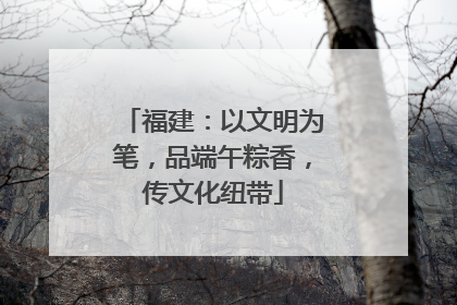 福建：以文明为笔，品端午粽香，传文化纽带