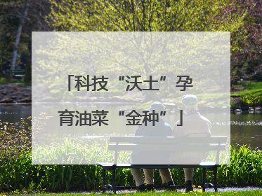 科技“沃土”孕育油菜“金种”