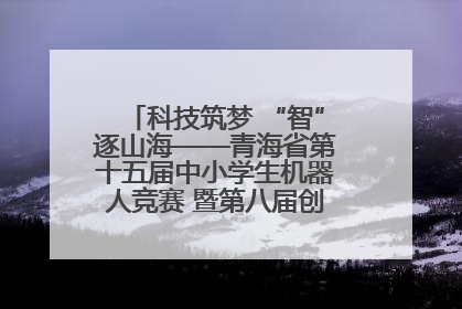 科技筑梦 “智”逐山海——青海省第十五届中小学生机器人竞赛 暨第八届创新设计大赛见闻
