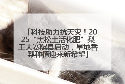 科技助力抗天灾！2025“黑松土活化肥”梨王大赛隰县启动，旱地香梨种植迎来新希望