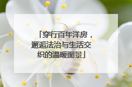 穿行百年洋房，邂逅法治与生活交织的温暖图景