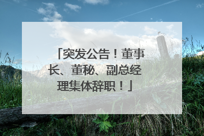 突发公告！董事长、董秘、副总经理集体辞职！