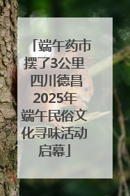 端午药市摆了3公里 四川德昌2025年端午民俗文化寻味活动启幕
