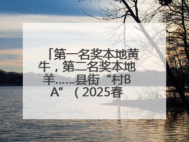 第一名奖本地黄牛，第二名奖本地羊……县街“村BA”（2025春季赛）圆满完赛