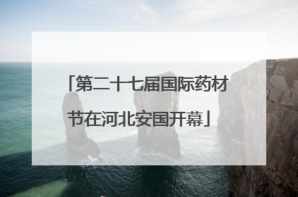 第二十七届国际药材节在河北安国开幕