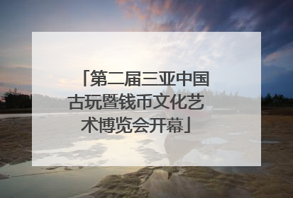 第二届三亚中国古玩暨钱币文化艺术博览会开幕