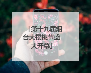 第十九届烟台大樱桃节盛大开幕