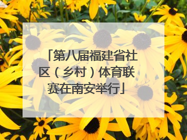 第八届福建省社区（乡村）体育联赛在南安举行