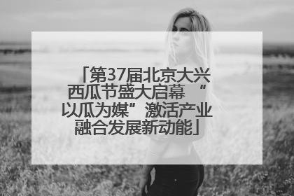第37届北京大兴西瓜节盛大启幕 “以瓜为媒”激活产业融合发展新动能