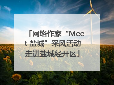 网络作家“Meet 盐城”采风活动走进盐城经开区