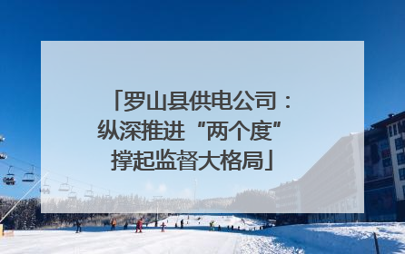罗山县供电公司：纵深推进“两个度” 撑起监督大格局