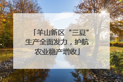 羊山新区“三夏”生产全面发力，护航农业稳产增收