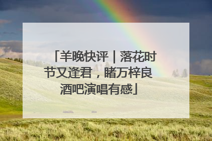羊晚快评｜落花时节又逢君，睹万梓良酒吧演唱有感