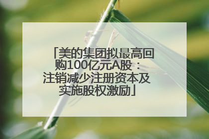 美的集团拟最高回购100亿元A股：注销减少注册资本及实施股权激励