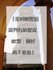 美对欧贸易谈判有新提议 欧盟：做好两手准备