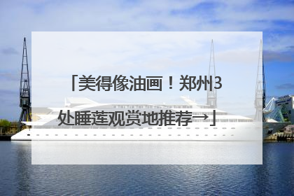 美得像油画！郑州3处睡莲观赏地推荐→