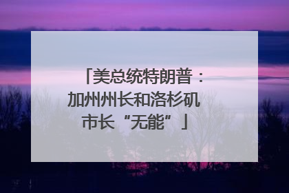 美总统特朗普：加州州长和洛杉矶市长“无能”