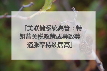 美联储系统高管：特朗普关税政策或导致美通胀率持续居高