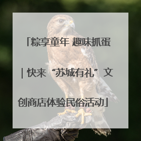 粽享童年 趣味抓蛋｜快来“苏城有礼”文创商店体验民俗活动