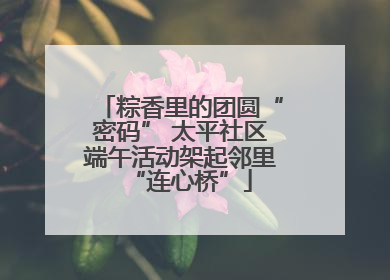粽香里的团圆“密码” 太平社区端午活动架起邻里“连心桥”