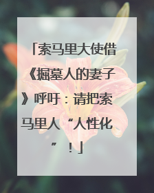 索马里大使借《掘墓人的妻子》呼吁：请把索马里人“人性化”！