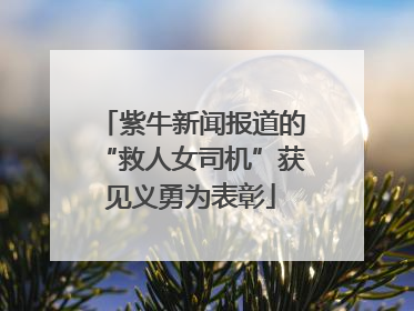紫牛新闻报道的“救人女司机”获见义勇为表彰