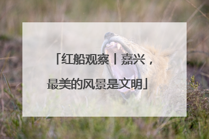 红船观察丨嘉兴，最美的风景是文明