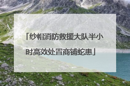 纱帽消防救援大队半小时高效处置商铺蛇患