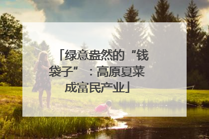 绿意盎然的“钱袋子”：高原夏菜成富民产业