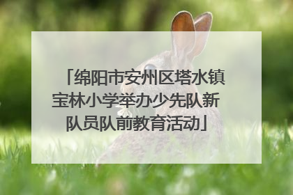 绵阳市安州区塔水镇宝林小学举办少先队新队员队前教育活动