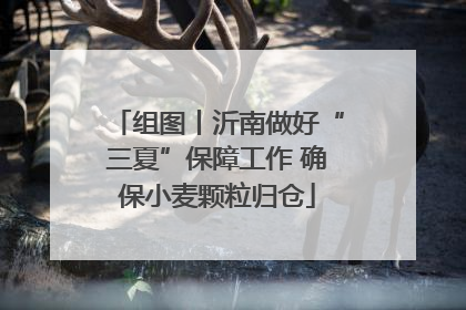 组图丨沂南做好“三夏”保障工作 确保小麦颗粒归仓
