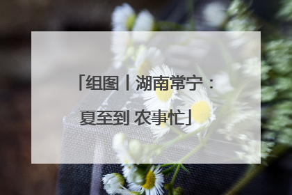 组图丨湖南常宁：夏至到 农事忙