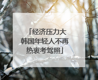 经济压力大 韩国年轻人不再热衷考驾照
