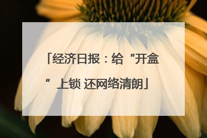 经济日报：给“开盒”上锁 还网络清朗
