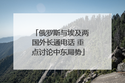 俄罗斯与埃及两国外长通电话 重点讨论中东局势