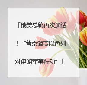 俄美总统再次通话！“普京谴责以色列对伊朗军事行动”