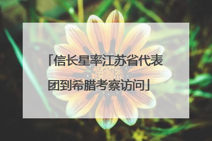 信长星率江苏省代表团到希腊考察访问