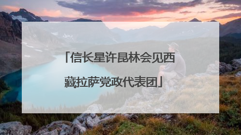 信长星许昆林会见西藏拉萨党政代表团