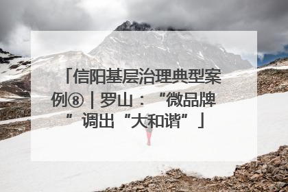 信阳基层治理典型案例⑧｜罗山：“微品牌”调出“大和谐”