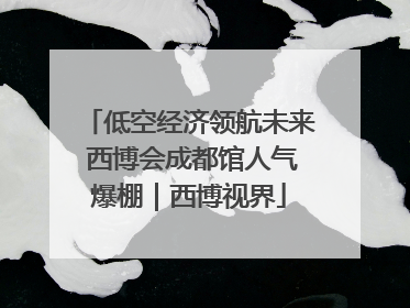 低空经济领航未来 西博会成都馆人气爆棚｜西博视界