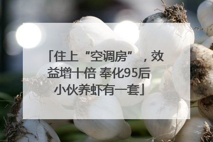 住上“空调房”，效益增十倍 奉化95后小伙养虾有一套