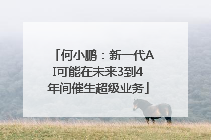 何小鹏：新一代AI可能在未来3到4年间催生超级业务