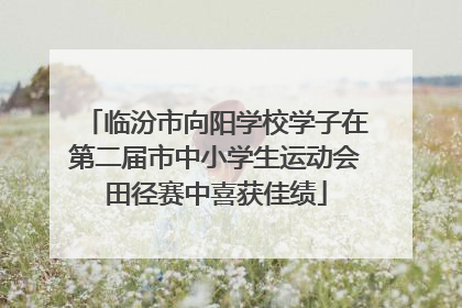 临汾市向阳学校学子在第二届市中小学生运动会田径赛中喜获佳绩
