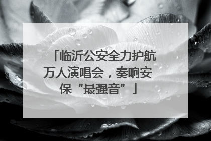 临沂公安全力护航万人演唱会，奏响安保“最强音”