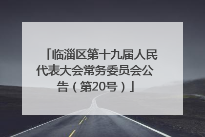 临淄区第十九届人民代表大会常务委员会公告（第20号）