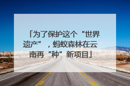 为了保护这个“世界遗产”，蚂蚁森林在云南再“种”新项目