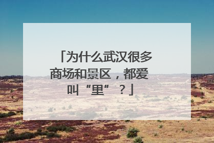 为什么武汉很多商场和景区，都爱叫“里”？