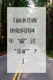 丽水市政协如何用4年“碳”讨“金矿”？