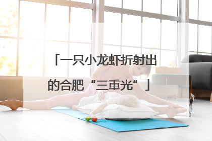一只小龙虾折射出的合肥“三重光”